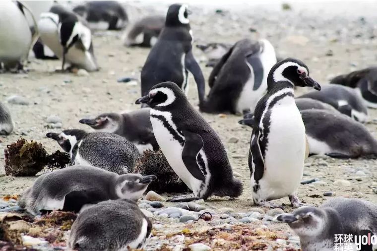 智利，“上帝封笔之作”，一个不会让你失望的国度