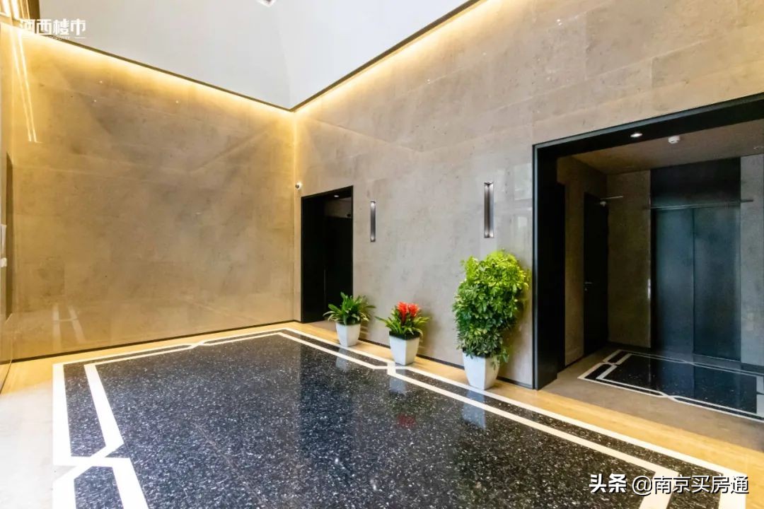 河西中新豪宅全景图,河西中心豪宅内部图片