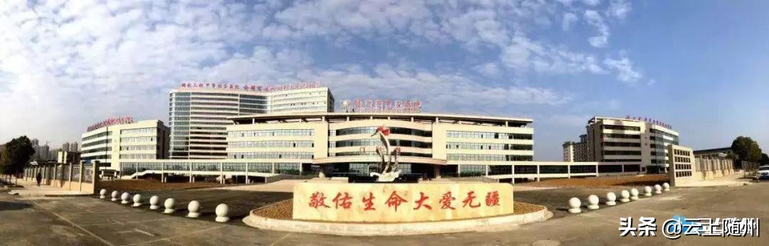 中心医院新院何时启用,实力与颜值同时在线免费观看