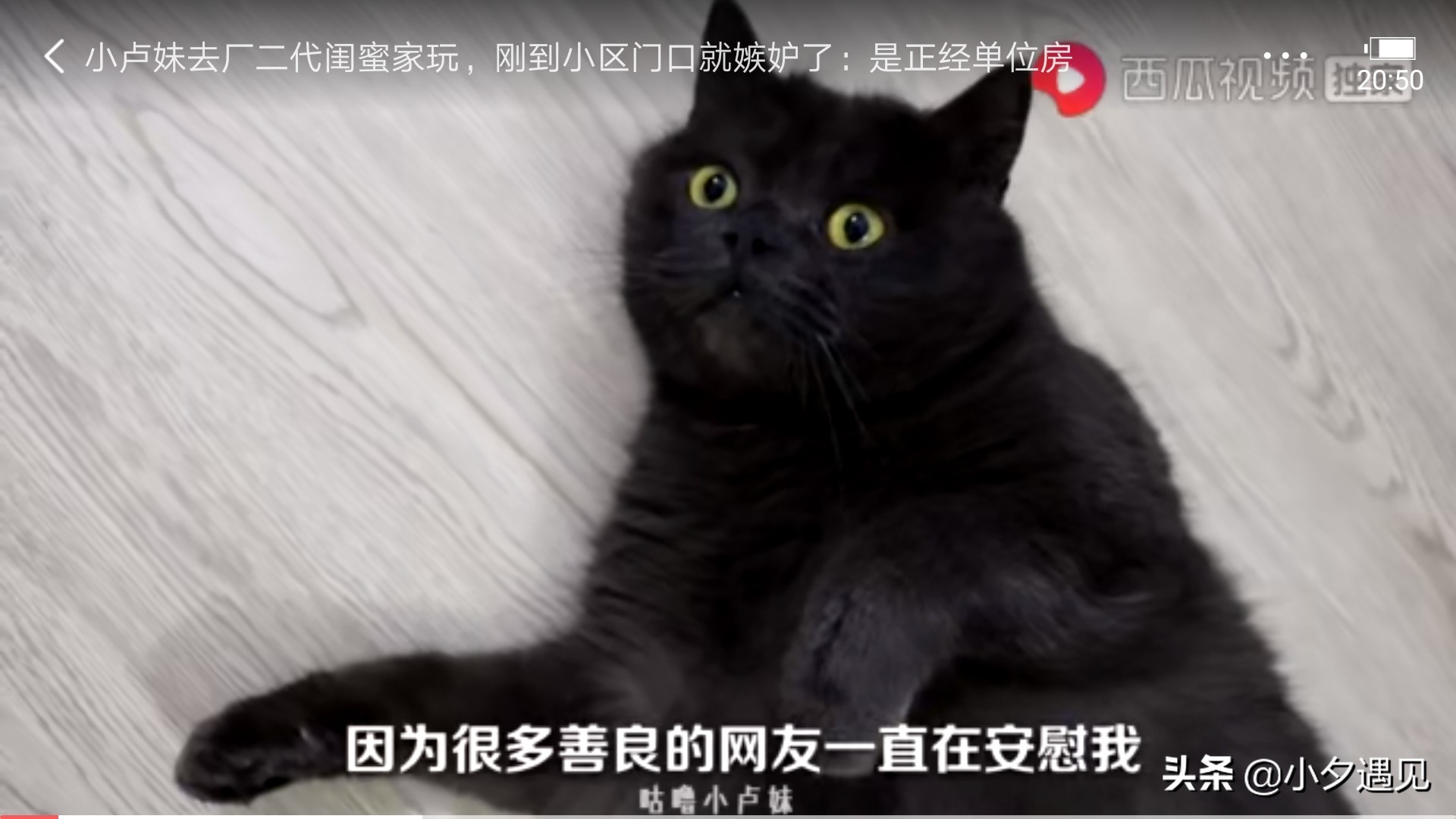 咕噜小卢妹为什么好久没有更新了,咕噜小卢妹的视频为什么受欢迎