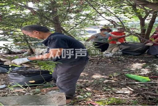 小区发生蛇患如何治理,成都一小区蛇患严重