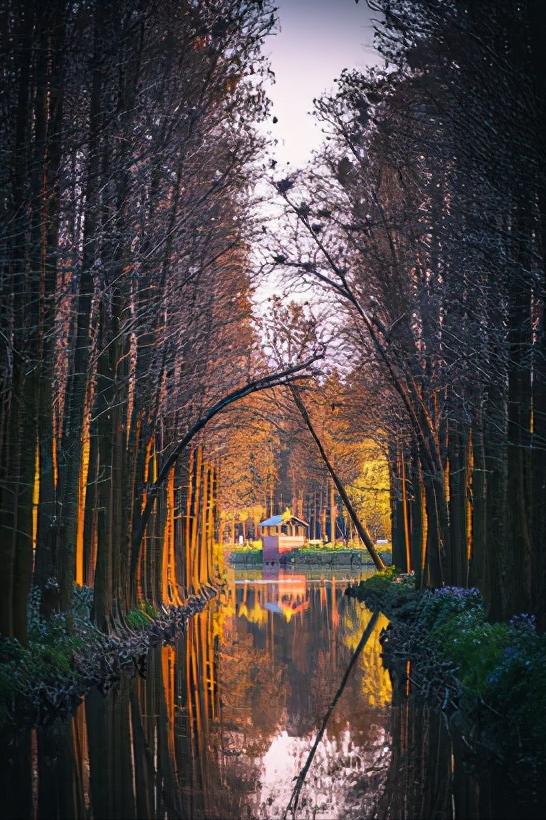 华东江苏篇,浅谈全国各省份