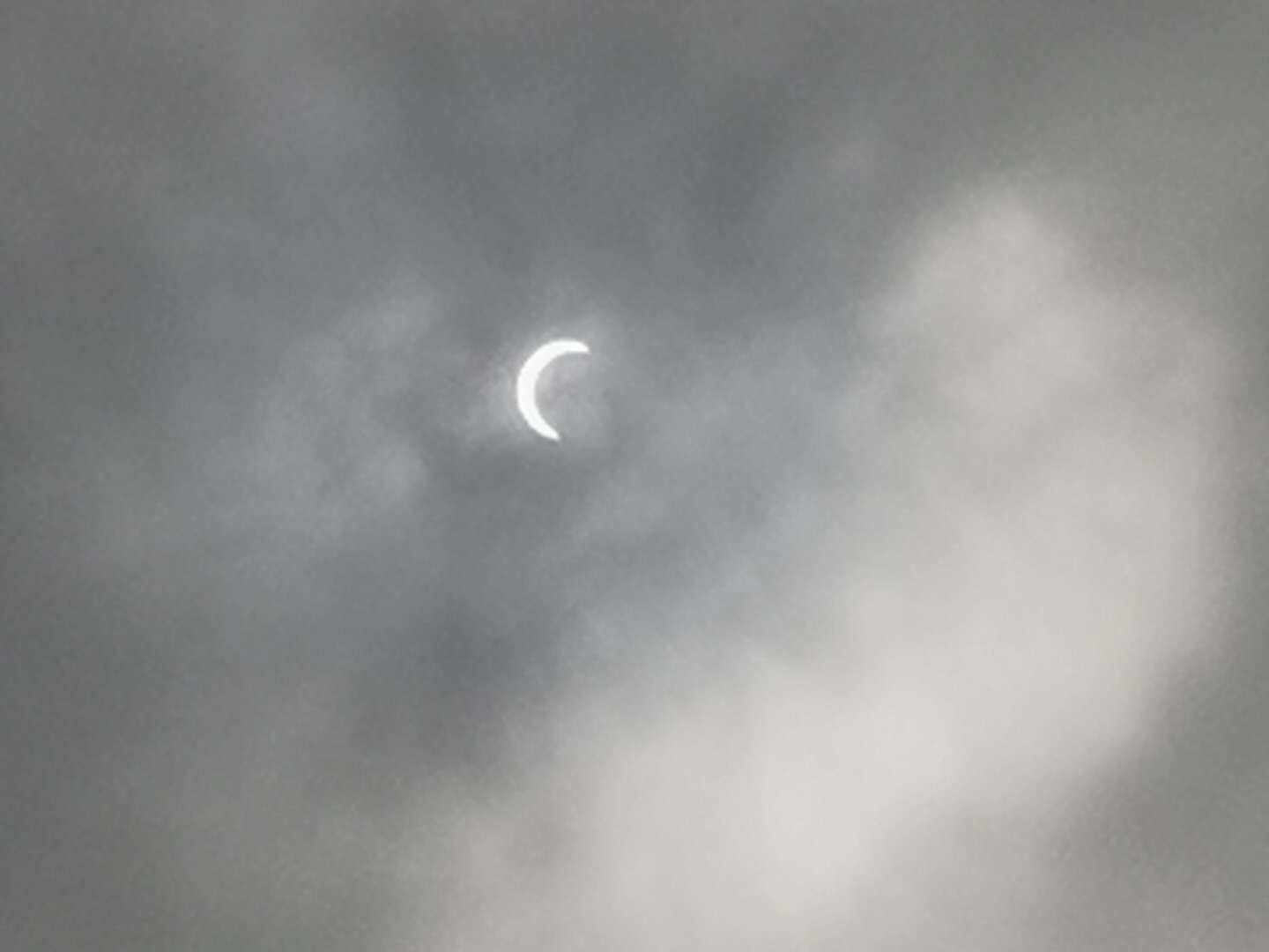 《中国诗歌周刊》2020年父亲节专刊(二)