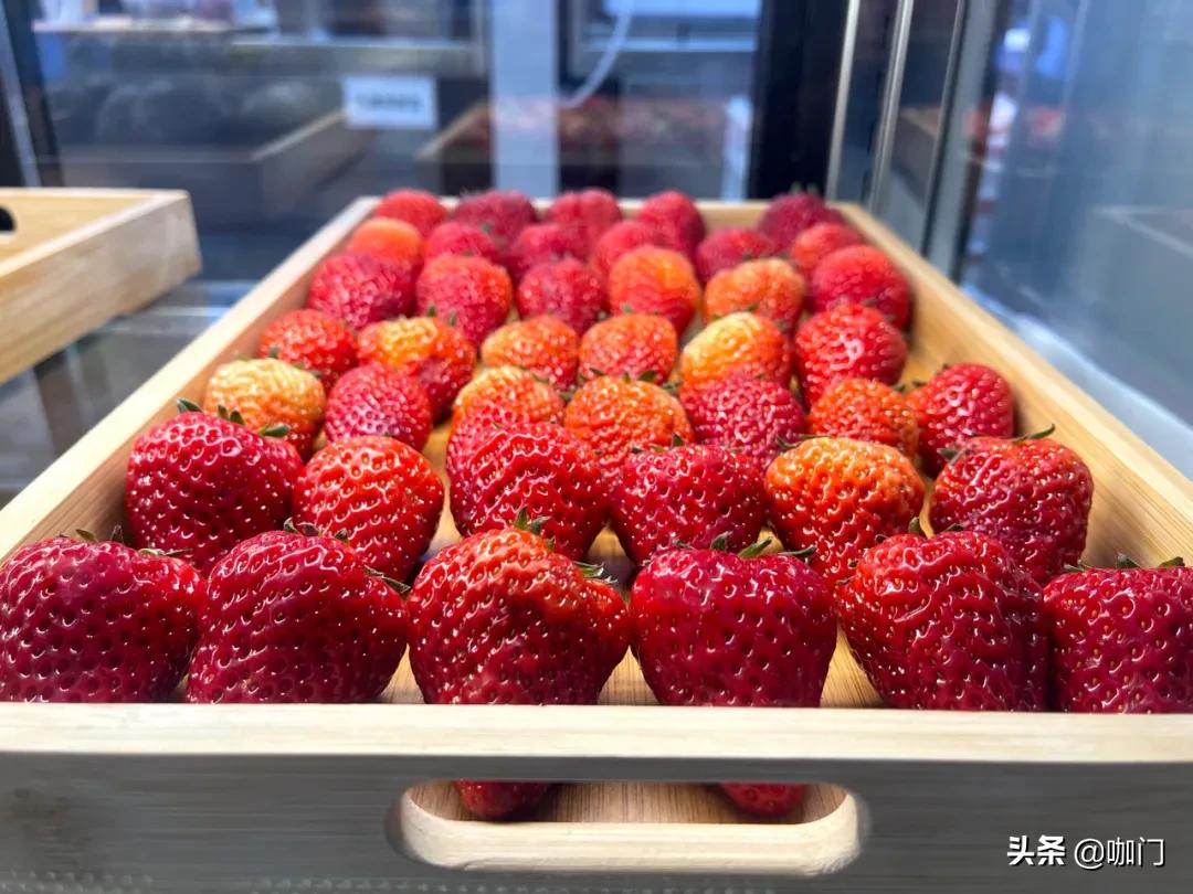 水果茶、奶盖茶、奶茶到底如何界定？奈雪牵头发布了一套行业标准