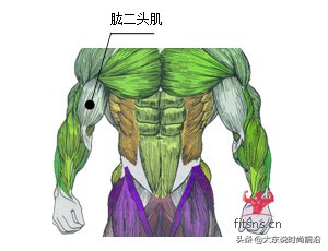 减脂午餐一周安排表,减脂健身计划一周表图