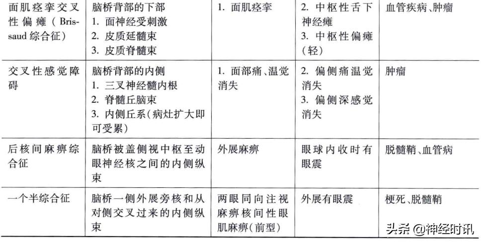 脑干解剖,脑干神经解剖