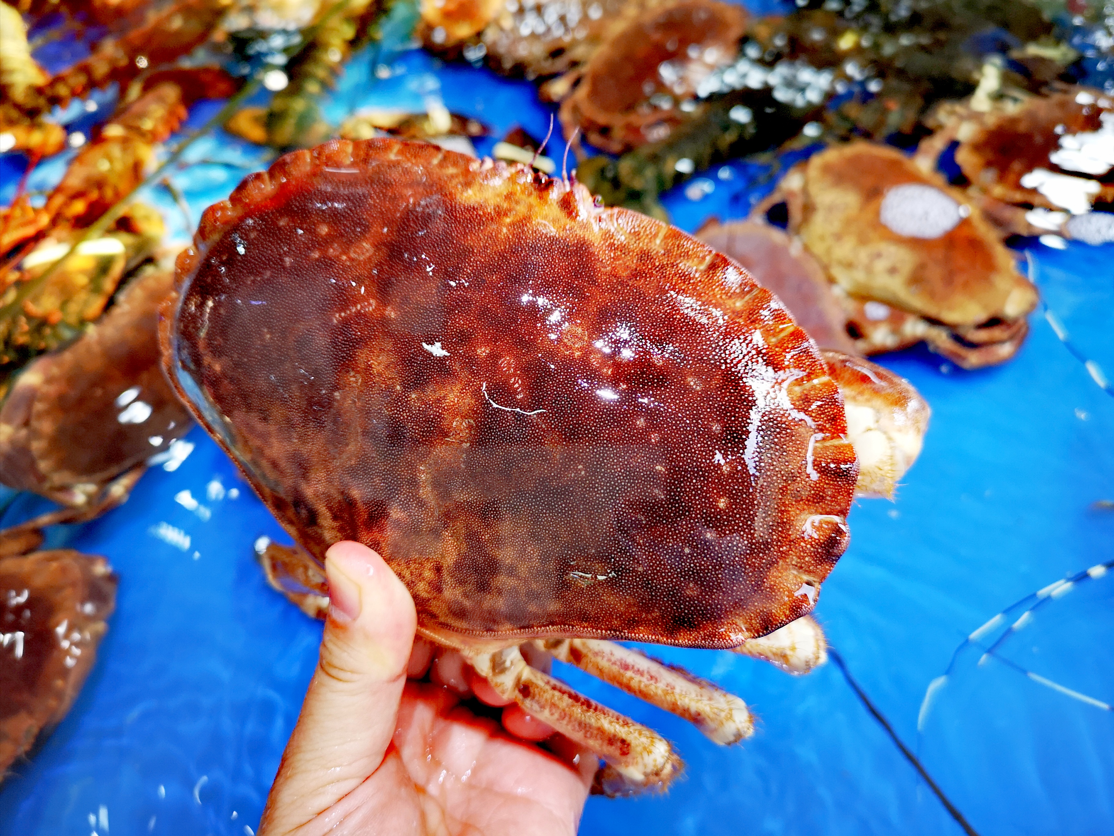 雨天东兴万尾金滩游,冬季东兴万尾金滩