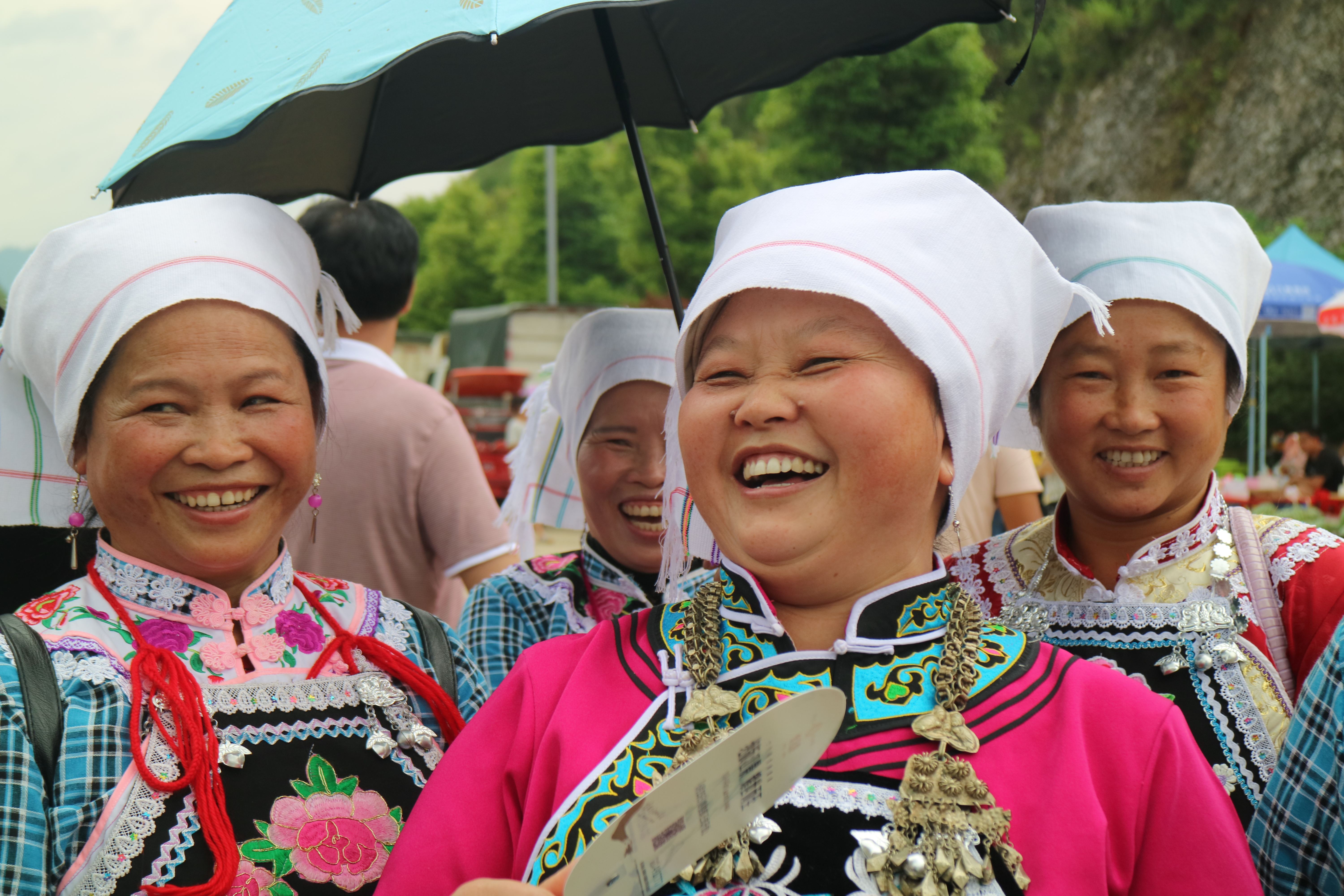 羊安杨梅节直播,羊安杨梅采摘