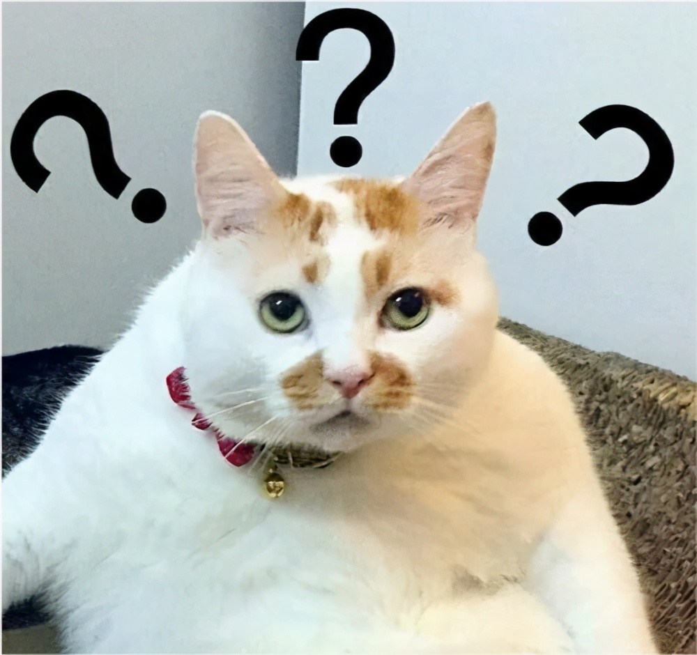 前列腺癌中tmd分期中的t0是指,前列腺癌病理分期pt2是什么意思