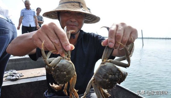 全国哪里的大闸蟹最好,哪里的大闸蟹最出名最好吃