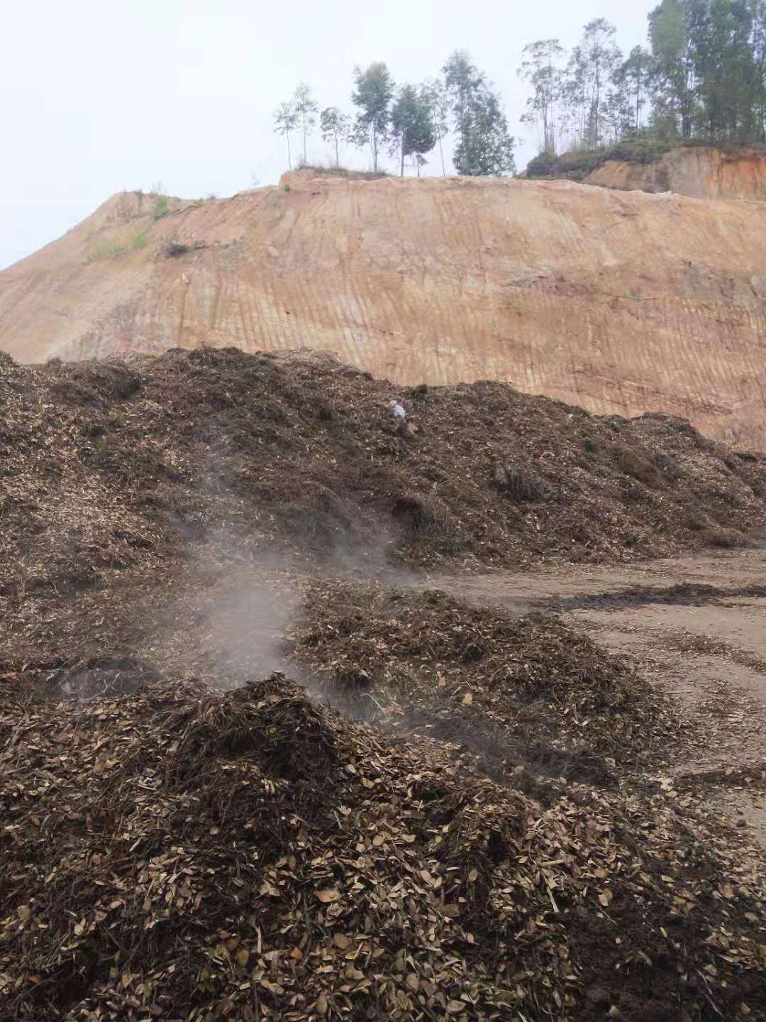 果树膨果期多少天浇一次水合适,膨果着色期阴雨对果树的影响