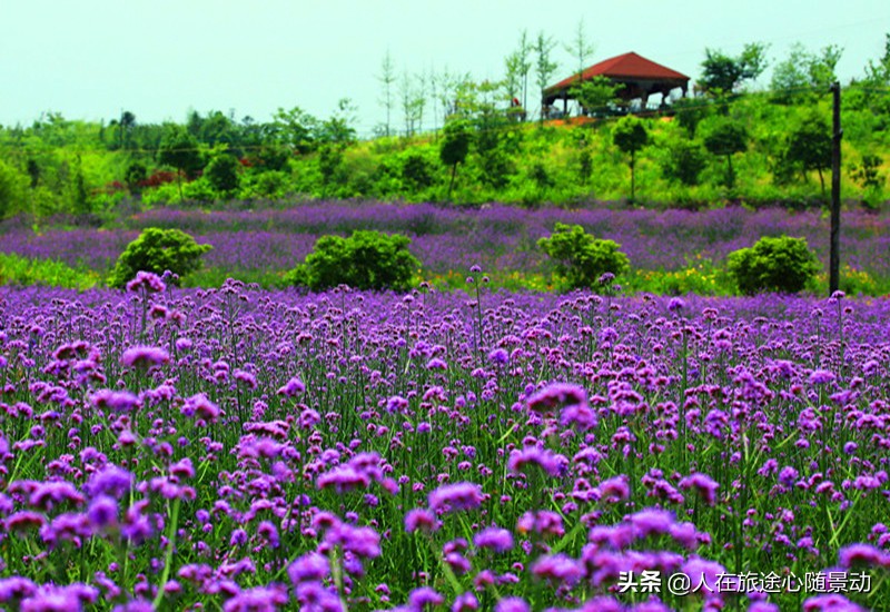 杭州市余杭区景点规划,杭州市余杭区旅游景点大全
