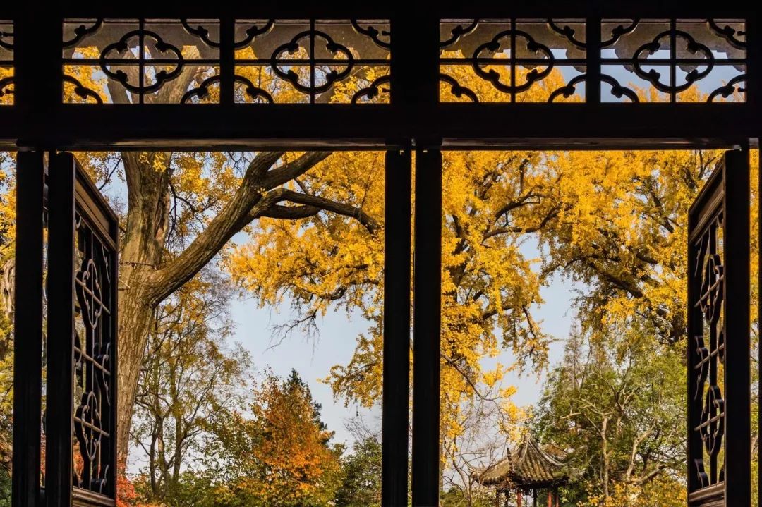 一入秋苏州成姑苏,秋色一入秋苏州就成了姑苏