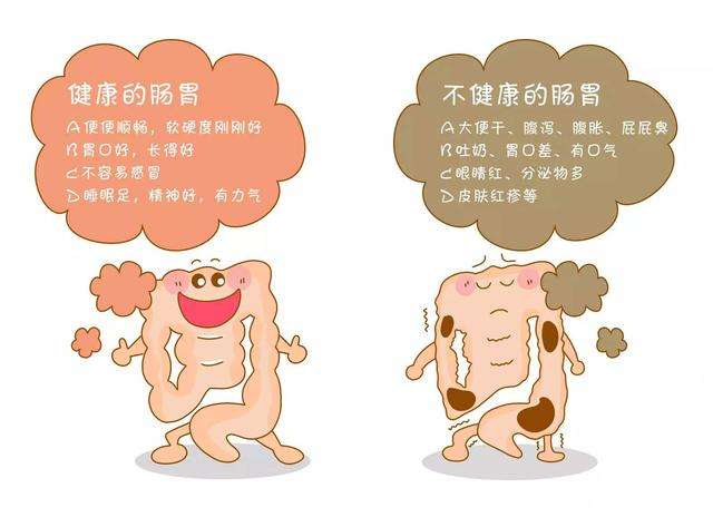 肠胃不好吃什么水果可以调理肠胃,小孩肠胃不好吃什么药调理肠胃