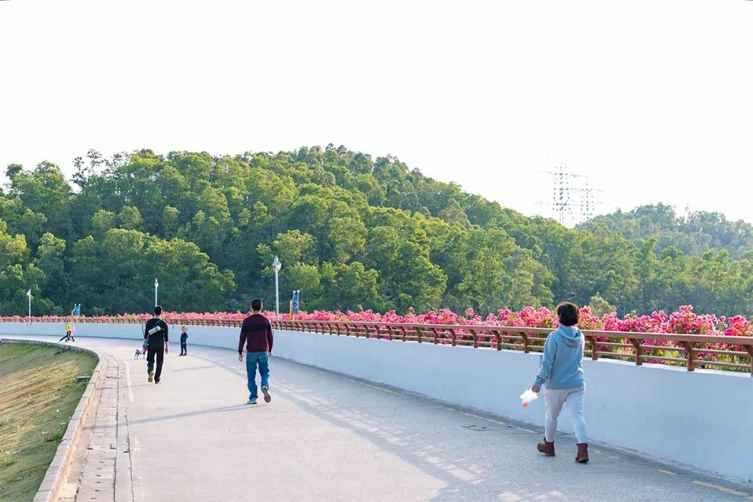 最美湖泊小众风景,最美湖泊西湖