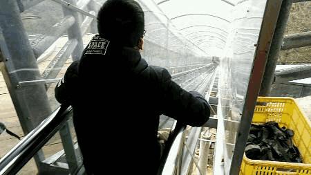 昆明周边游玩元旦景点推荐,元旦昆明周边游玩景点推荐