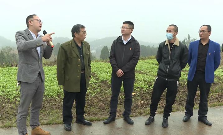 南充嘉陵区龙蟠,四川省南充市高坪区龙蟠镇