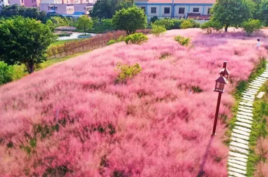 朋友圈推荐个免费又好玩的地方,广东人周末去哪玩小众景点