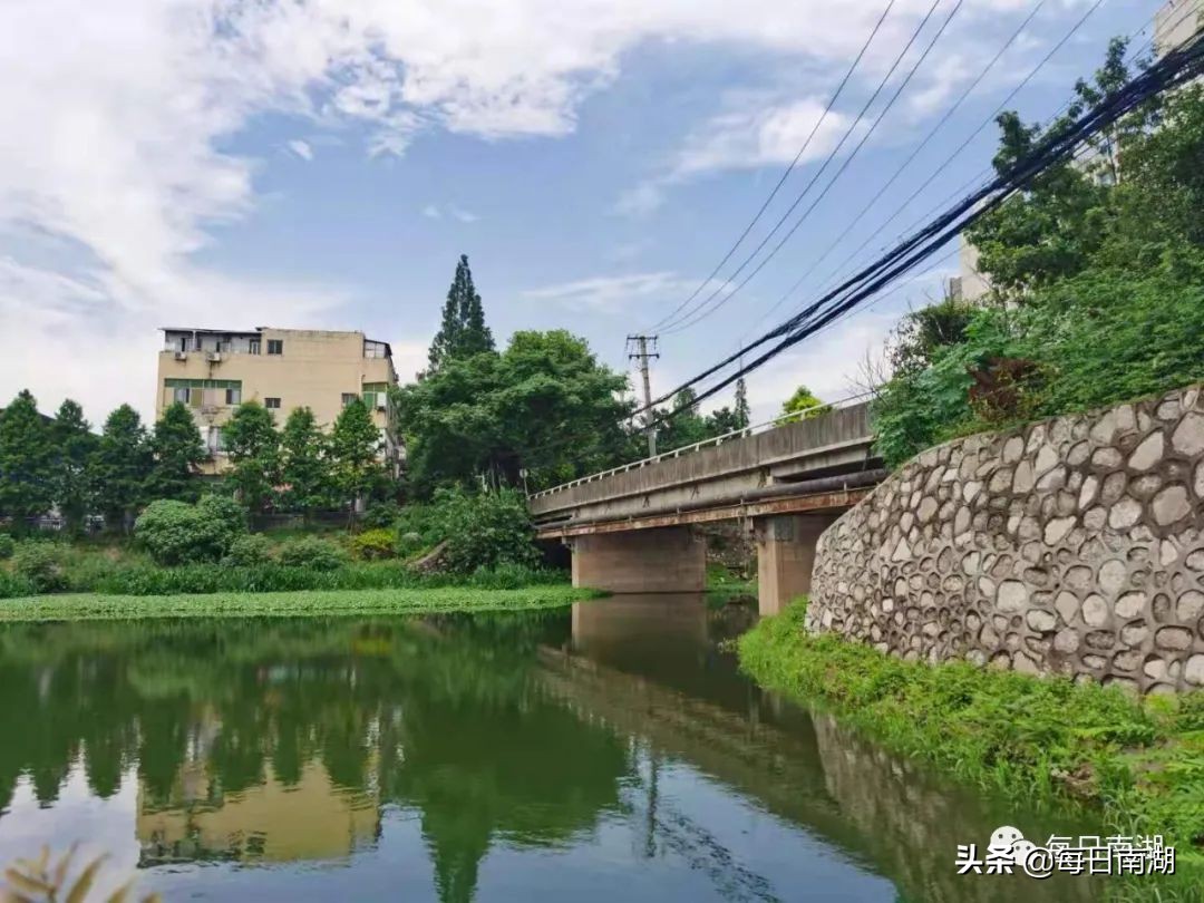 南湖的生态公园,南湖公园在未来哪里