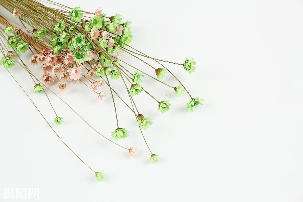 愿所有青年摆脱冷气只是向上走,愿中国青年都摆脱冷气原话