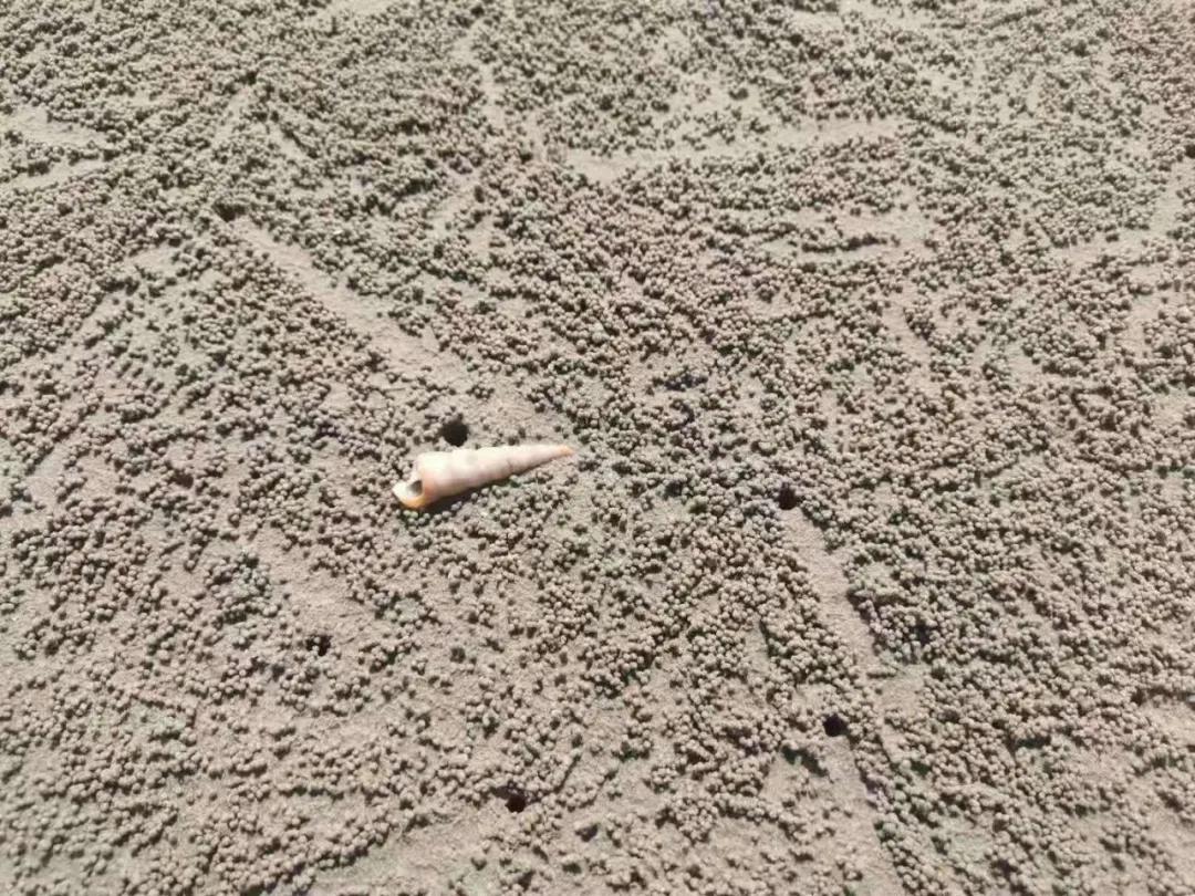 防城港一日游：我和大刘酸了，想在这边买房