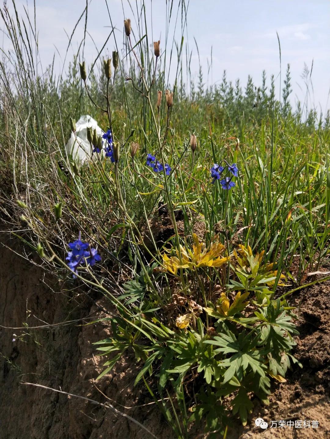 跟我回家在线免费看,跟我回家免费看