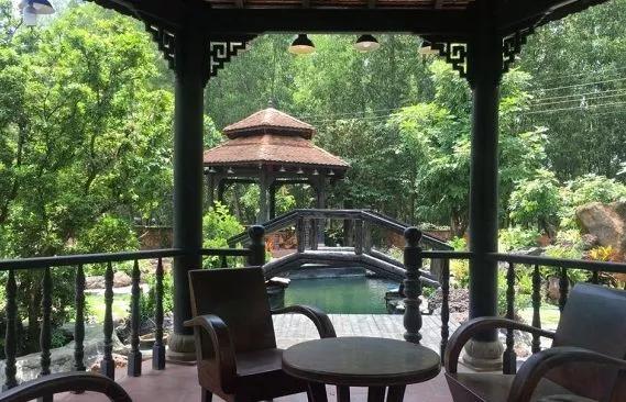 他花50亿建池塘买锦鲤，还以好友的名字为它们命名！