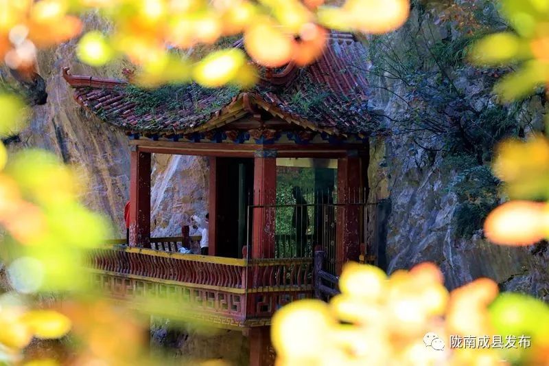 我叫成县，这是我2019年的自拍照~