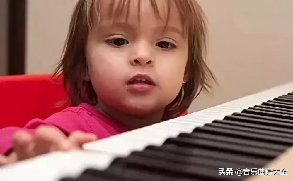 手特别小适合学什么乐器,手小是不是不适合弹钢琴