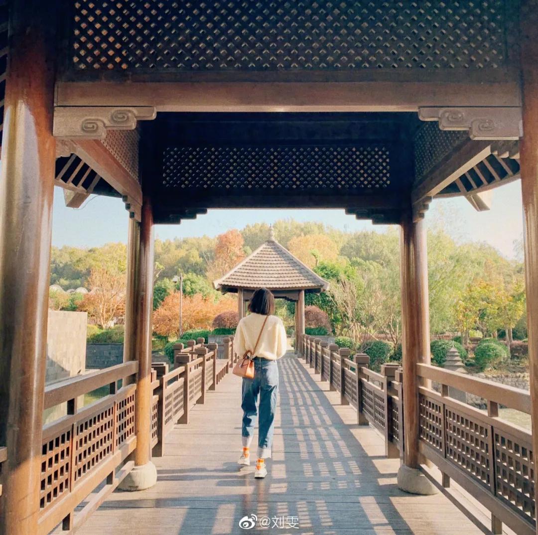 刘雯杭州柏悦酒店,刘雯同款打卡