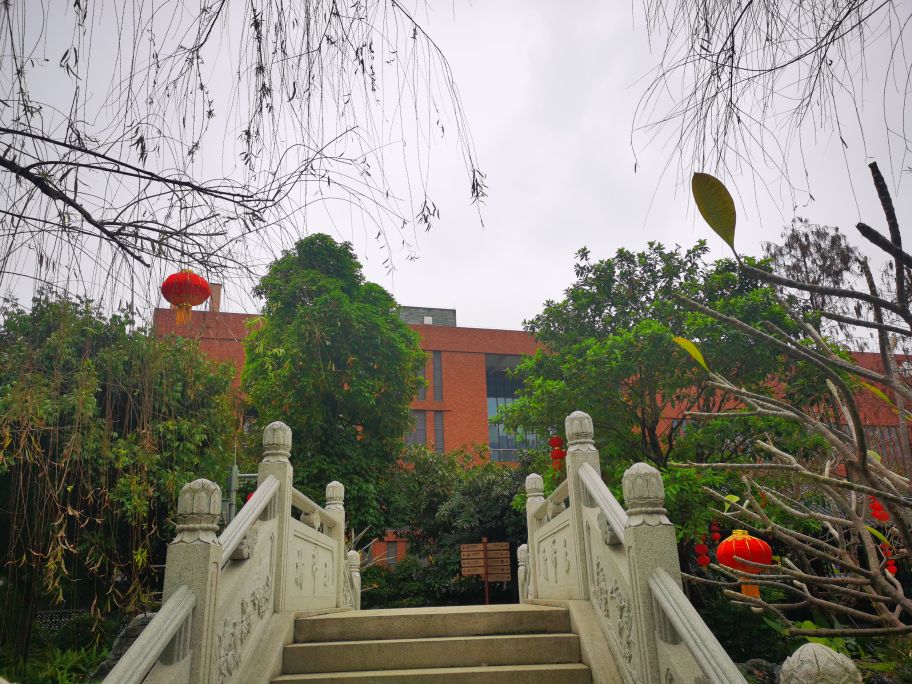 真相小揭秘,真相小小说