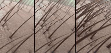 用什么洗发才能变得乌黑闪亮,用什么洗发水能让头发浓密乌黑