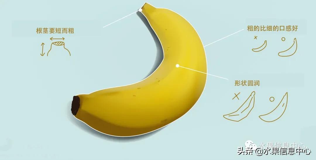 日本水果店怎么挑选,正宗日本水果店