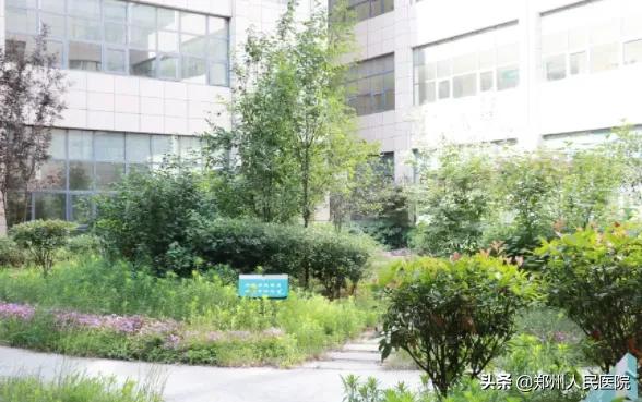六大亮点，show出郑医南部院区秀外慧中的魅力