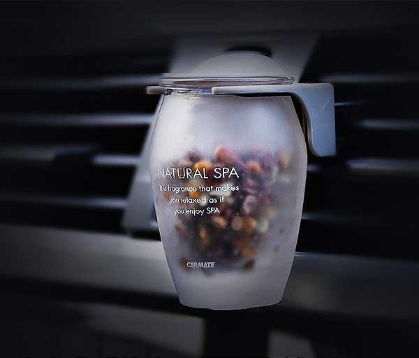 汽车中毒是怎么回事,汽车中毒什么意思