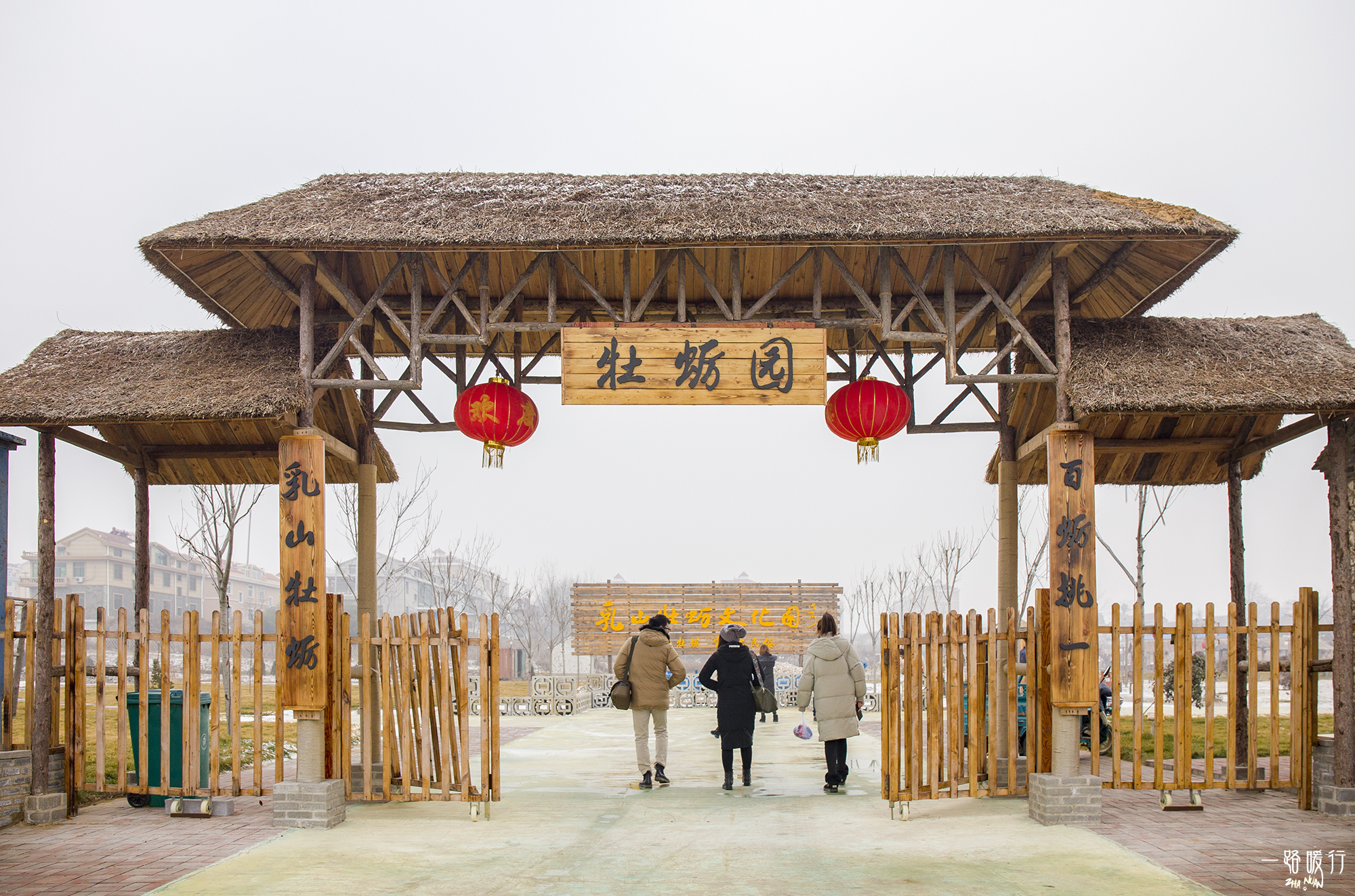 牡蛎生命意义,野生牡蛎的价值