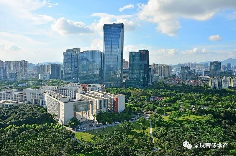 博拓咨询年终盘点|感恩不落幕，迎势再起航