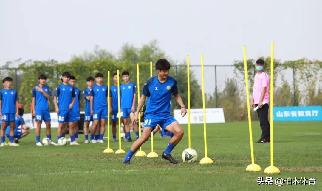 体育单招可以报几所大学,体育单招选综合类院校