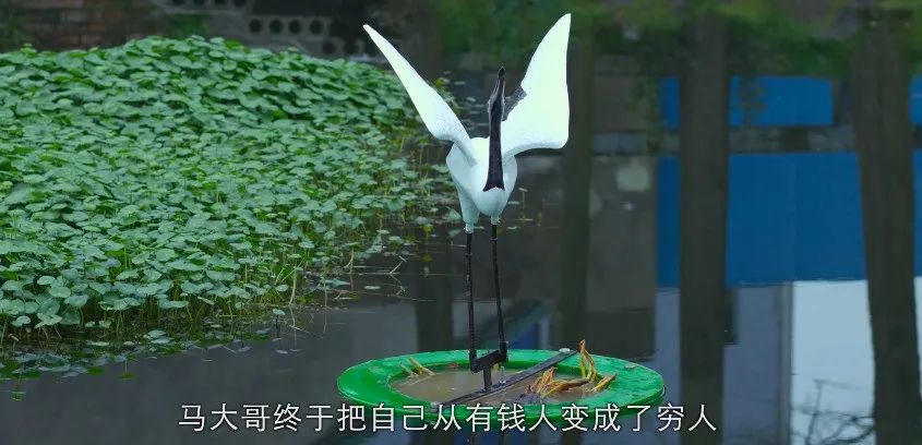 国产良心网络电影,口碑爆棚的国产片