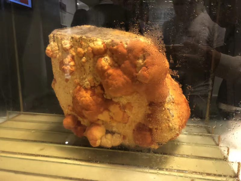 深圳云银舒畅拜竭台湾天明制药王伯纶董事长