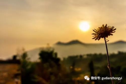 前半生拼命后半生治病,前半生玩命挣钱后半生用钱续命