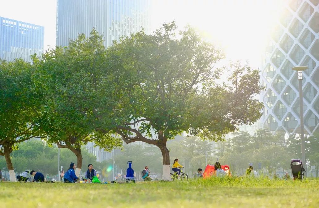 宝安西部中心,宝安中心