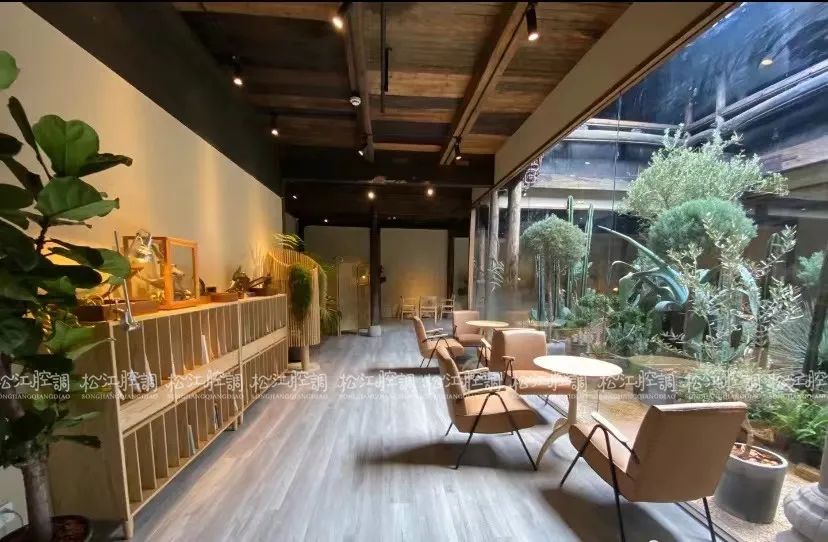 松江佘山辰山植物园一日游攻略,松江方塔园哪好玩