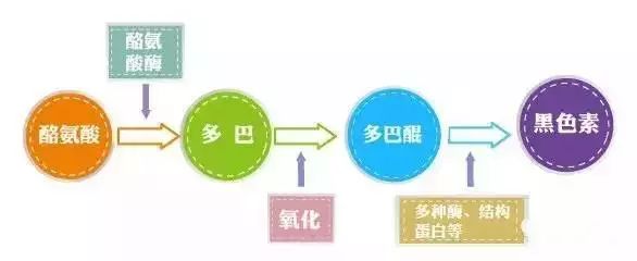 张嘉倪护肤油,张嘉倪分享化妆品