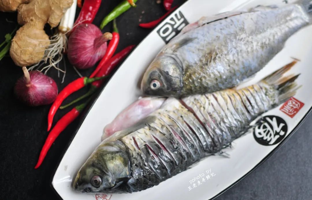 清淡凉拌鲫鱼最正宗的做法四川,过水凉拌鲫鱼最正宗的做法四川