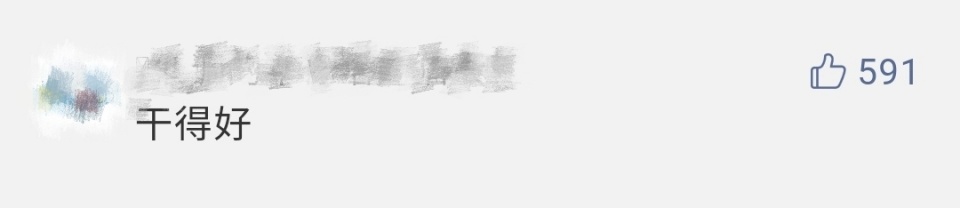 夏季犬管理整治,犬类整治