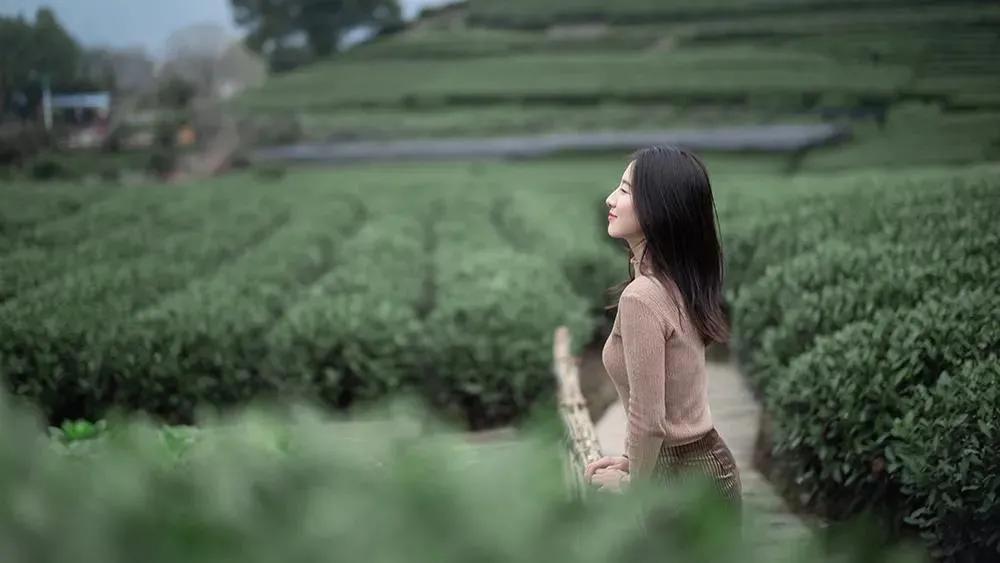 杭州出家,杭州出家需要什么条件