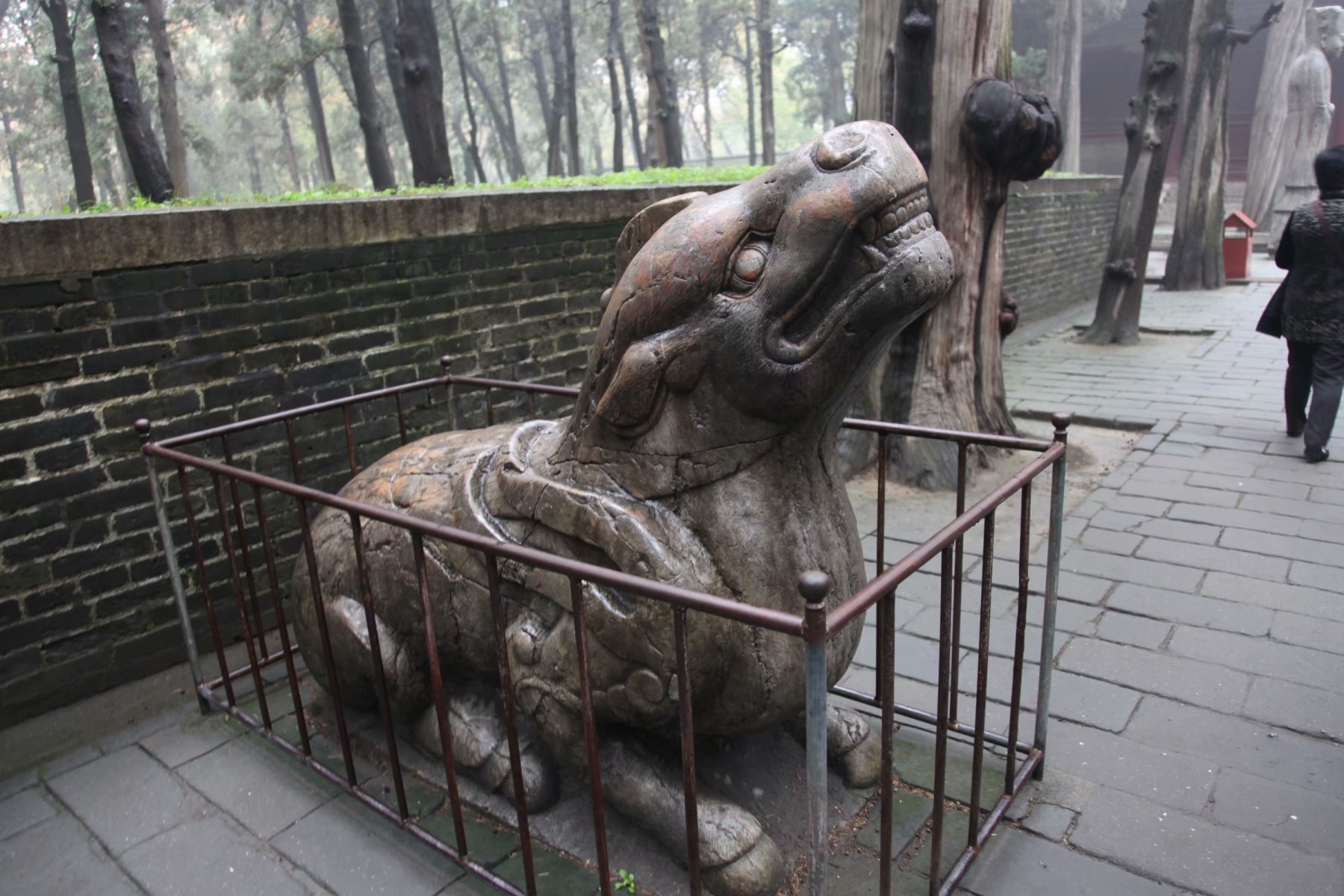 三孔在多少年被收入世界遗产名录,中国世界文化遗产三孔面积