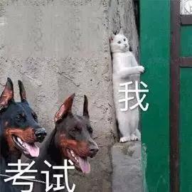 gmat小白必看gmat考试最全介绍,成都申友gmat备考教程