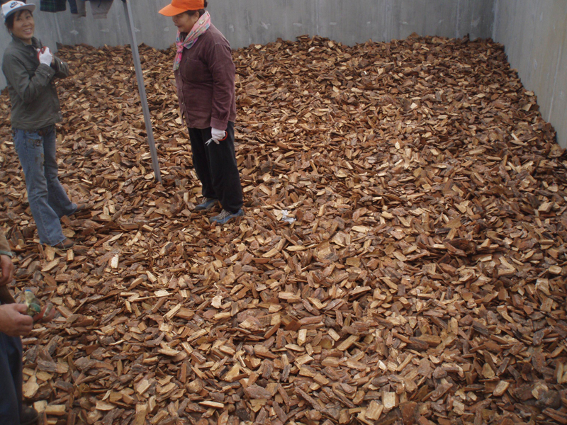 松树皮怎样处理可以做兰花植料,种植兰花只需要用松树皮就够了么